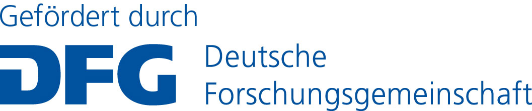 dfg logo schriftzug blau foerderung