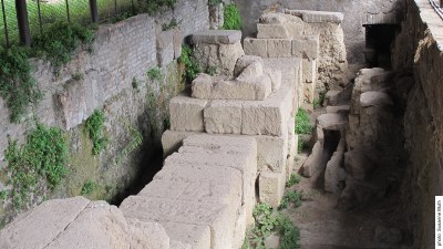 Basilica Fulvia, überlieferte Reste der äußeren Säulenstellung