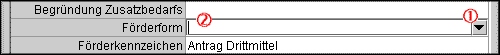 Screenshot Begründung des Zusatzbedarfs