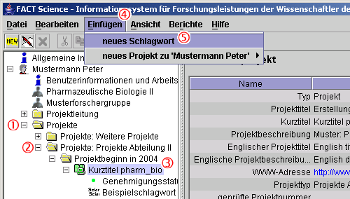 Screenshot Container Projekte