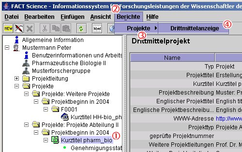 Schreenshot Drittmittelanzeige