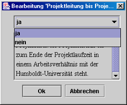 Screenshot Projektleitung bis Projektende