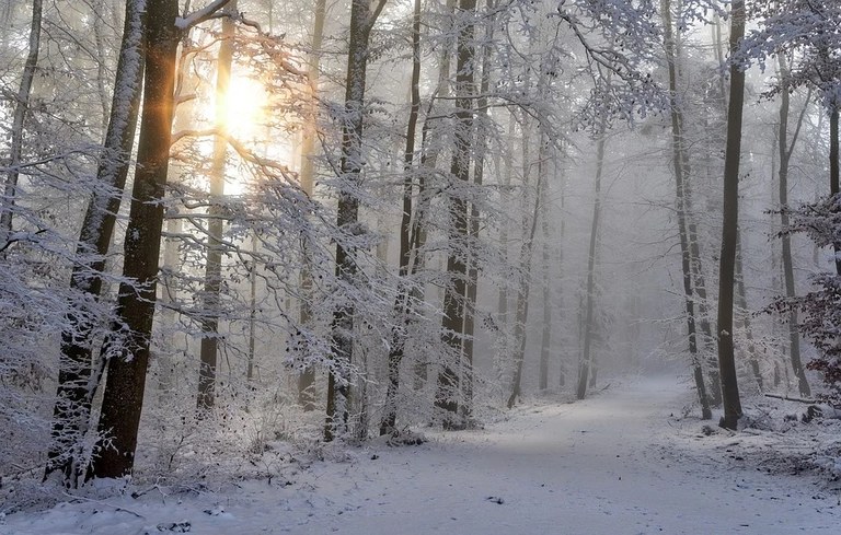 snow0