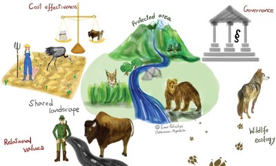 TransWILD project outline