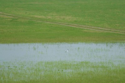 Shared landscapes by humans and wildlife
